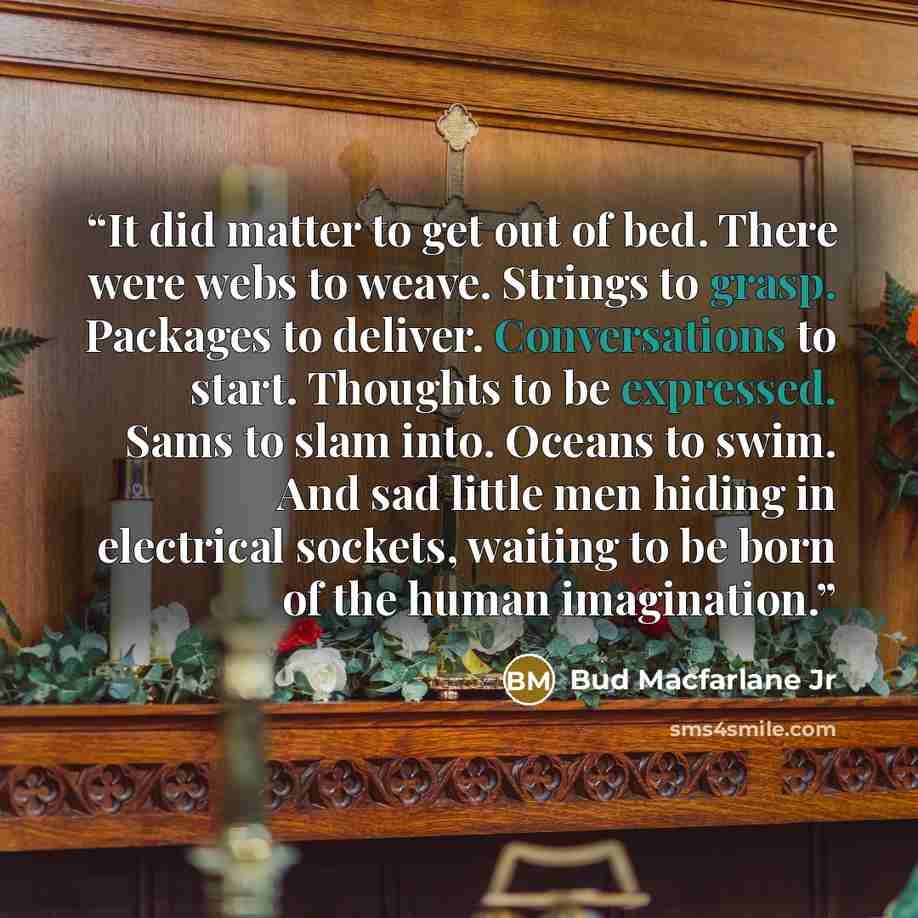 “It did matter to get out of bed. There were webs to weave. Strings to grasp. Packages to deliver. Conversations to start. Thoughts to be expressed. Sams to slam into. Oceans to swim. And sad little men hiding in electrical sockets, waiting to be born of the human imagination.” quote by Bud Macfarlane Jr