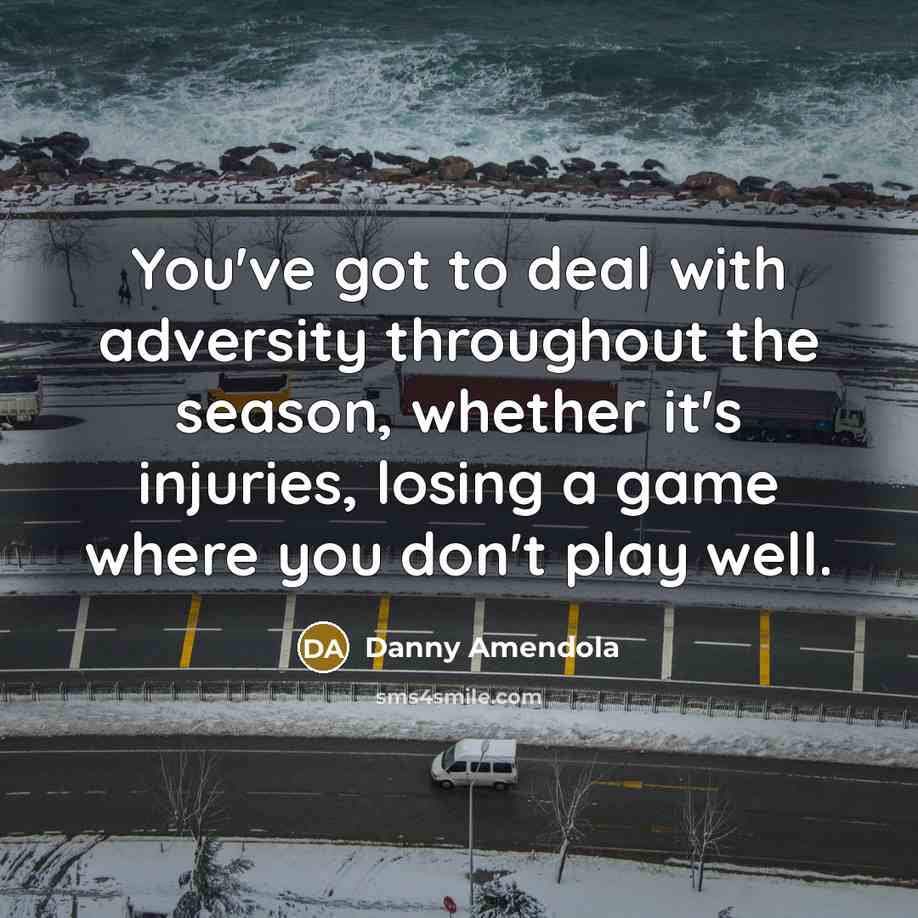 “You've got to deal with adversity throughout the season, whether…” quote by Danny Amendola