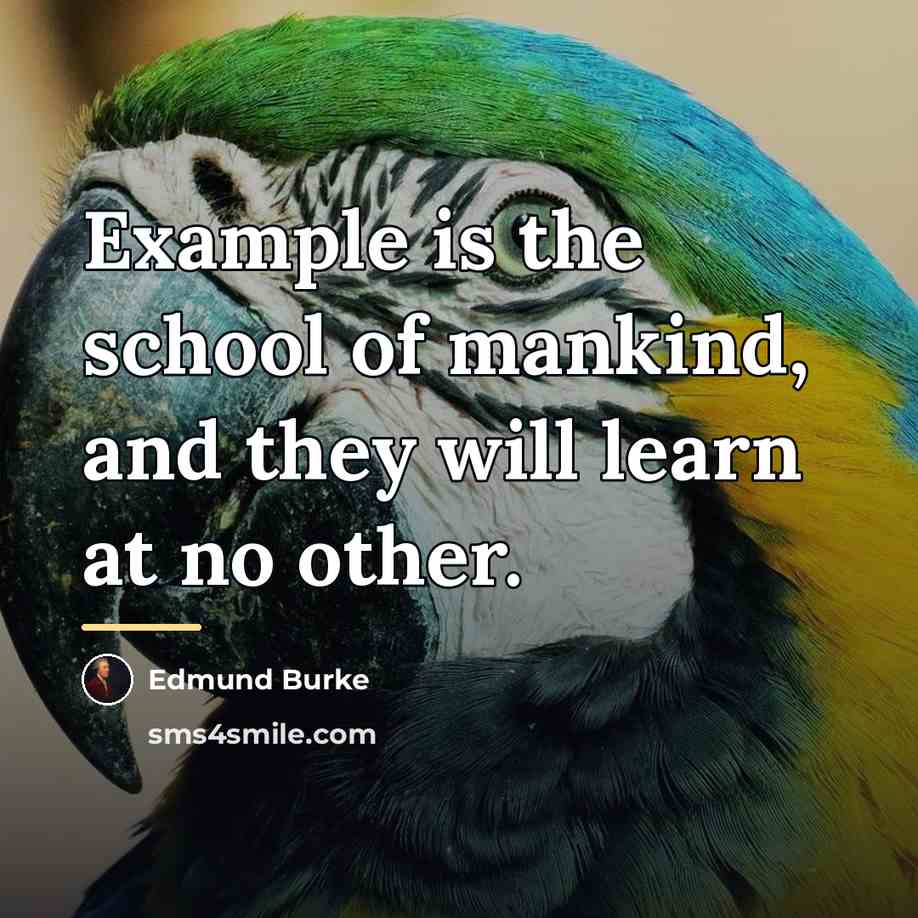“Example is the school of mankind, and they will learn…” quote by Edmund Burke