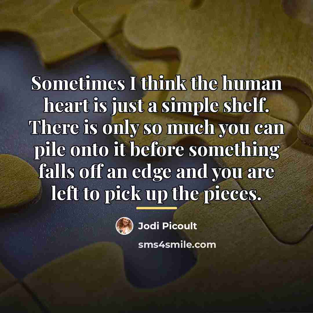 “Sometimes I think the human heart is just a simple…” quote by Jodi Picoult