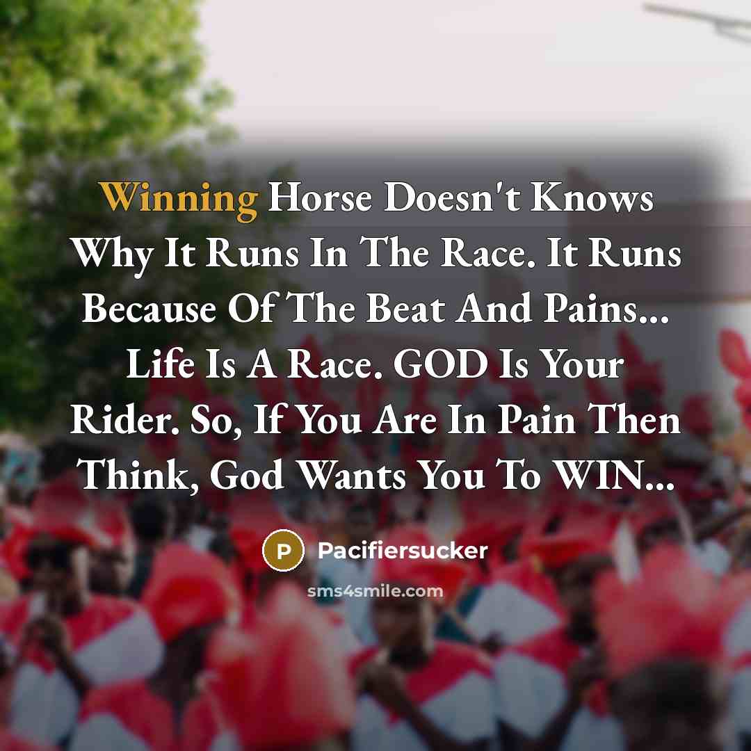 “Winning Horse Doesn't Knows Why It Runs In The Race.…” quote by Pacifiersucker