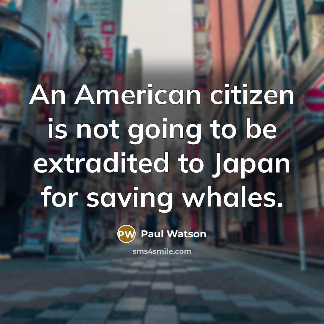 “An American citizen is not going to be extradited to…” quote by Paul Watson