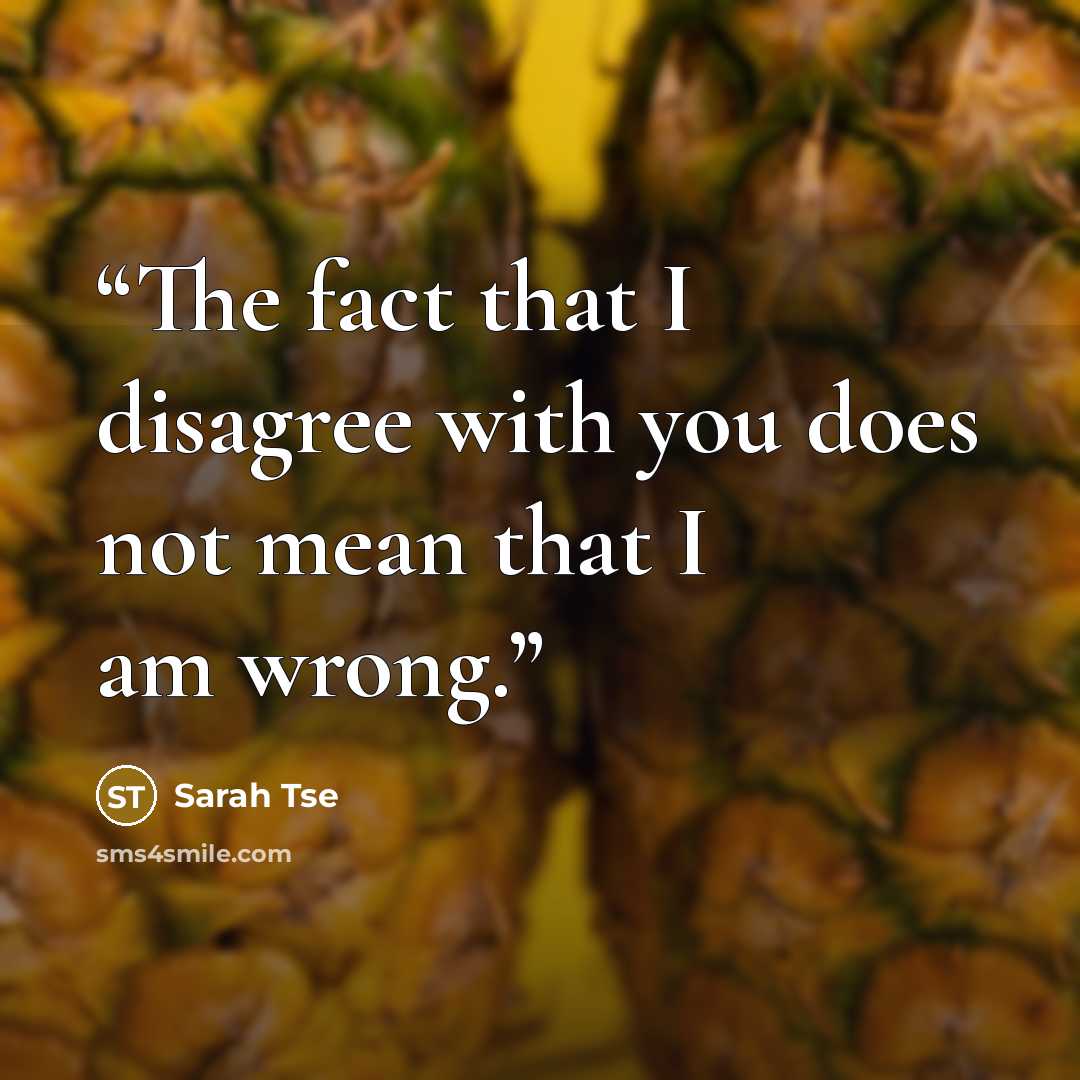 “The fact that I disagree with you does not mean that I am wrong.” quote by Sarah Tse