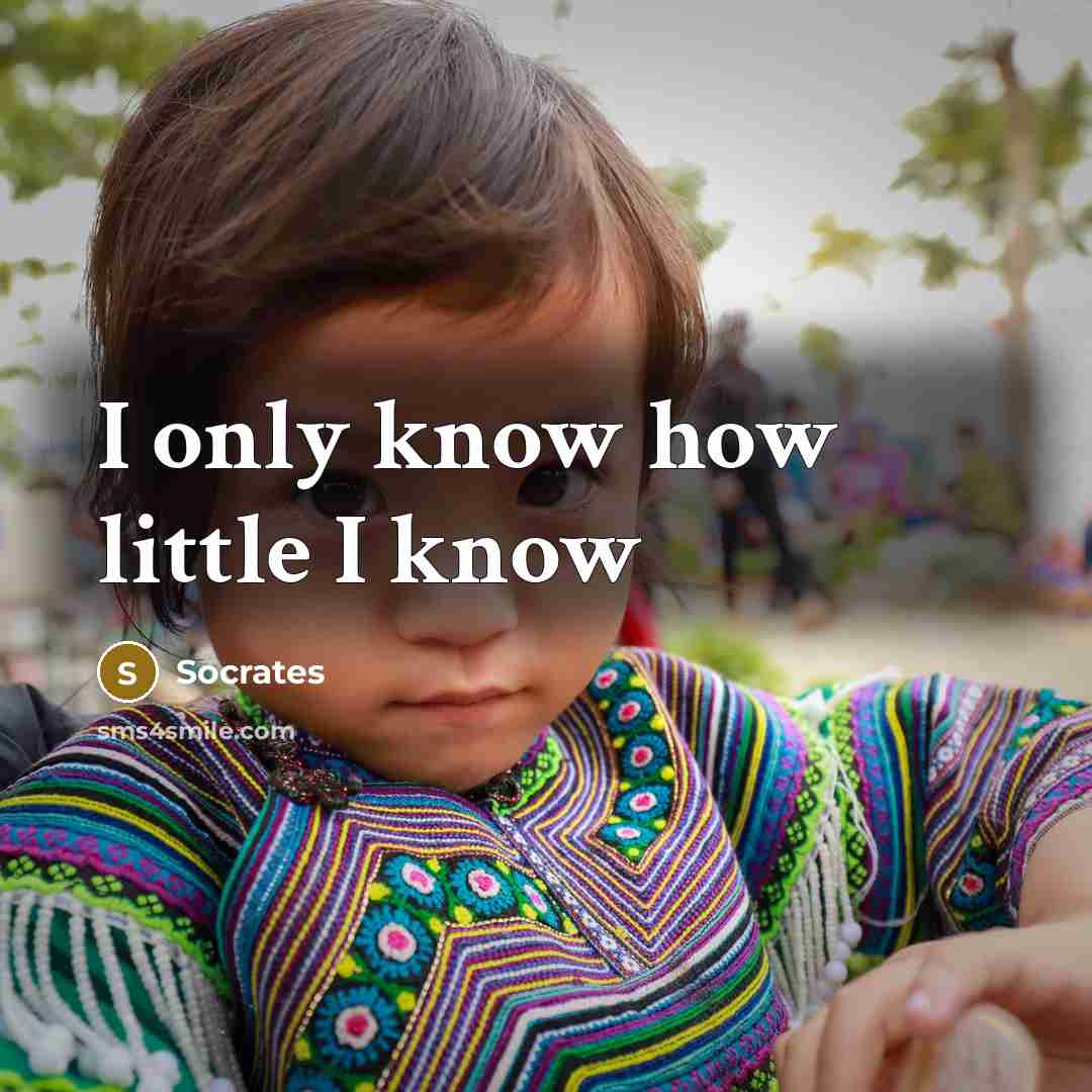 “I only know how little I know” quote by Socrates