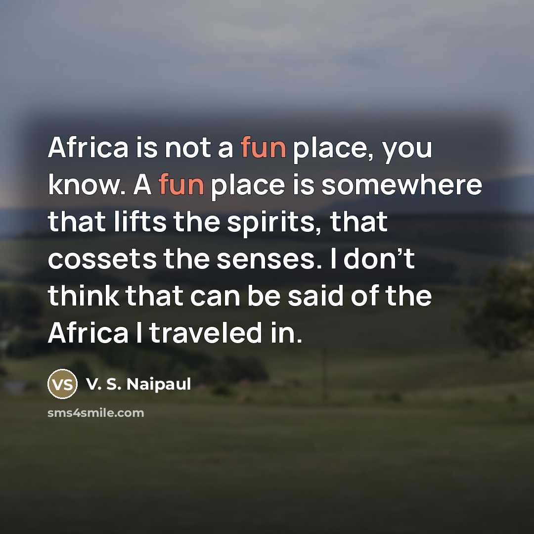 “Africa is not a fun place, you know. A fun…” quote by V. S. Naipaul