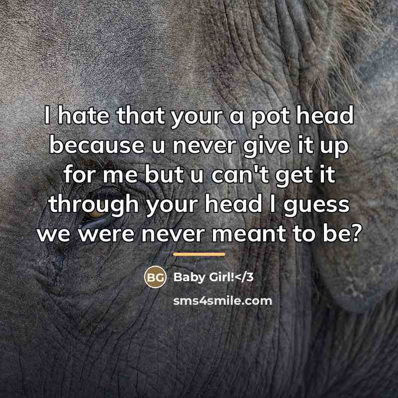 “I hate that your a pot head because u never…” quote by Baby Girl!</3