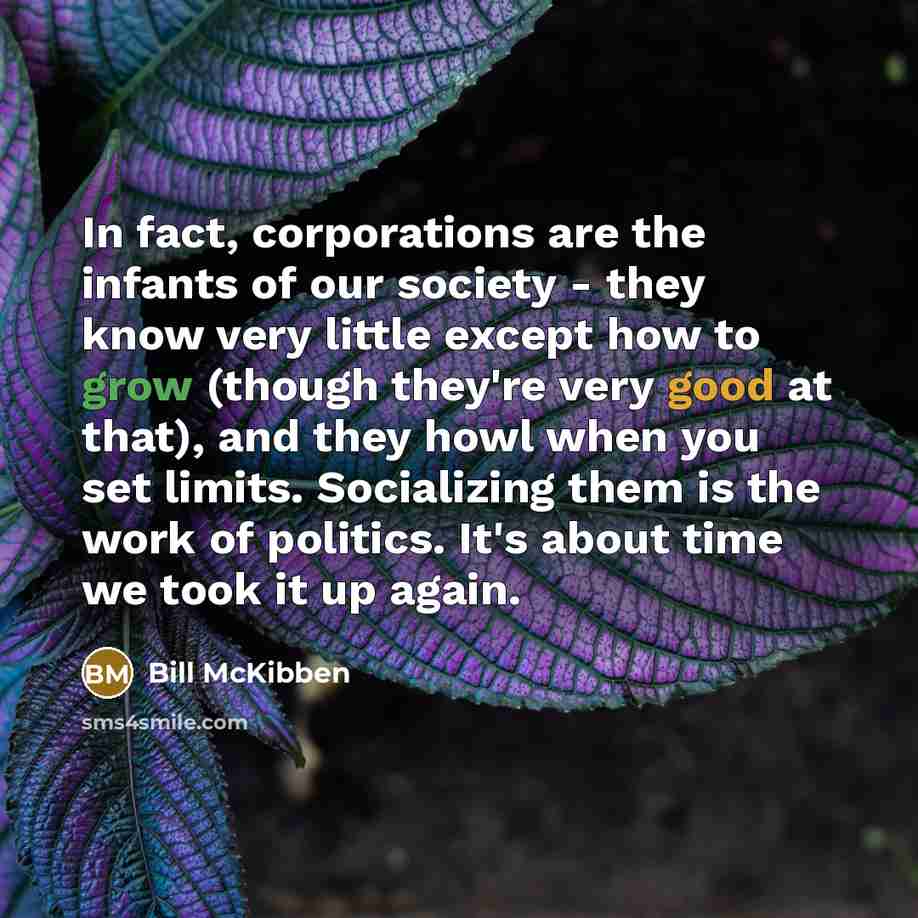 “In fact, corporations are the infants of our society -…” quote by Bill McKibben