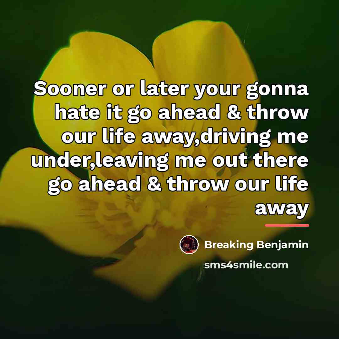 “Sooner or later your gonna hate it go ahead &…” quote by Breaking Benjamin