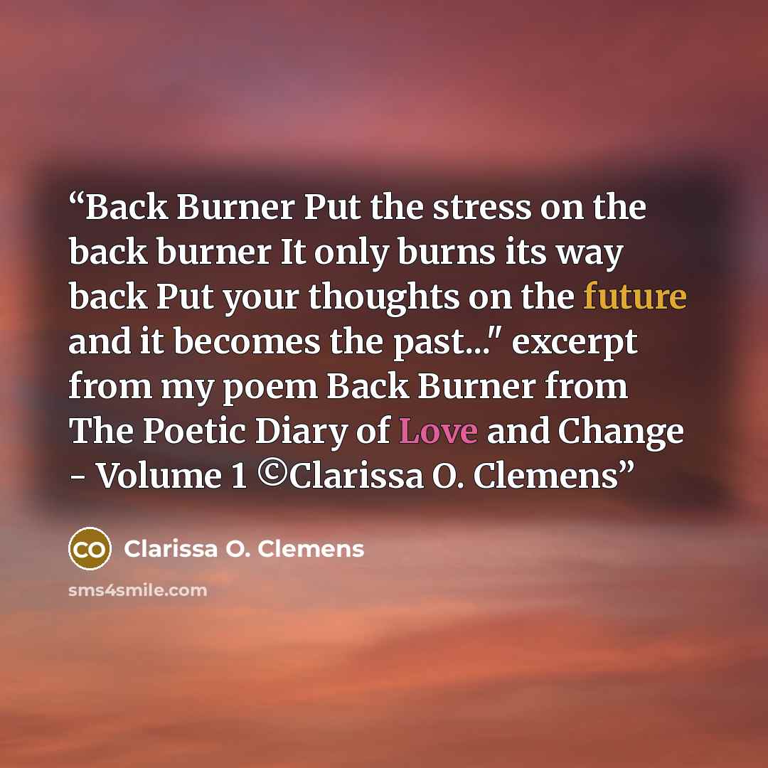 “Back Burner Put the stress on the back burner It only burns its way back Put your thoughts on the future and it becomes the past..." excerpt from my poem Back Burner from The Poetic Diary of Love and Change - Volume 1 ©Clarissa O. Clemens” quote by Clarissa O. Clemens