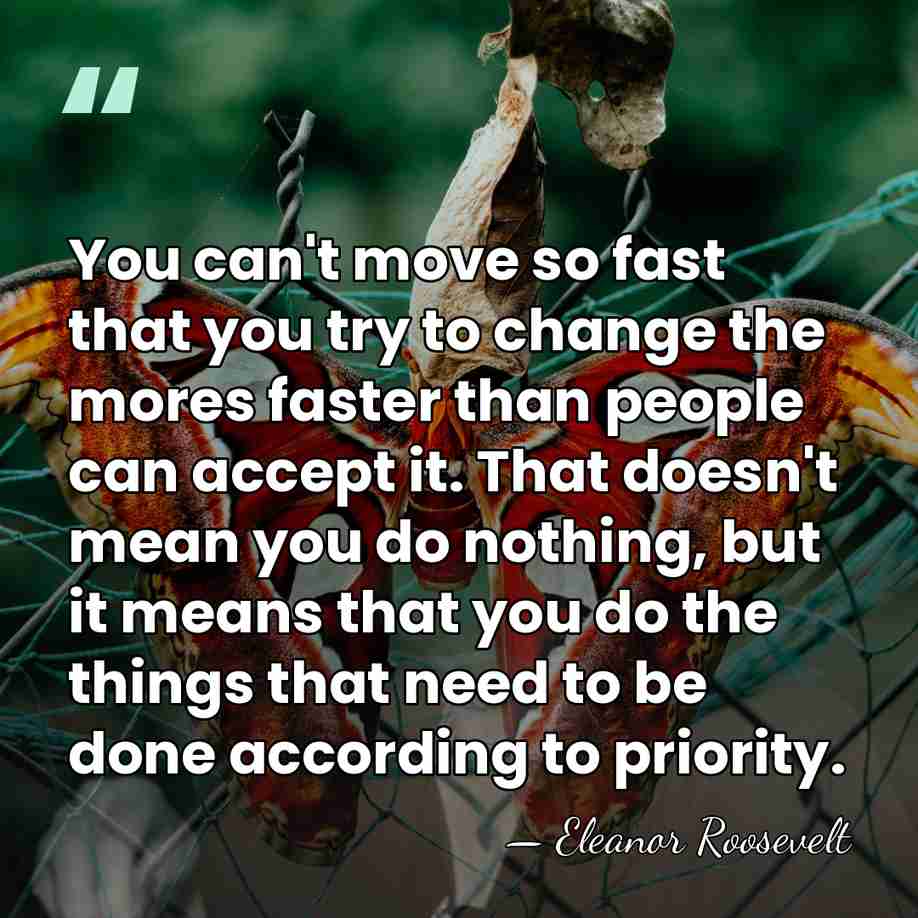 You can't move so fast that you try to change the mores&hellip; - Eleanor Roosevelt
