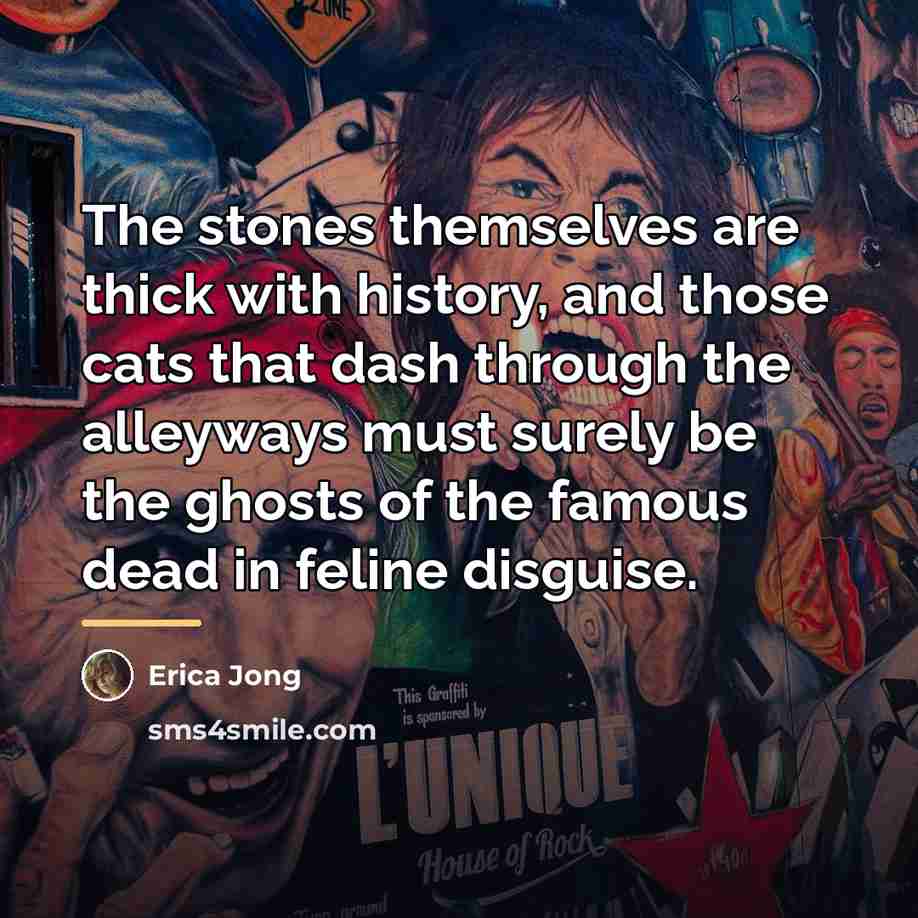 “The stones themselves are thick with history, and those cats…” quote by Erica Jong