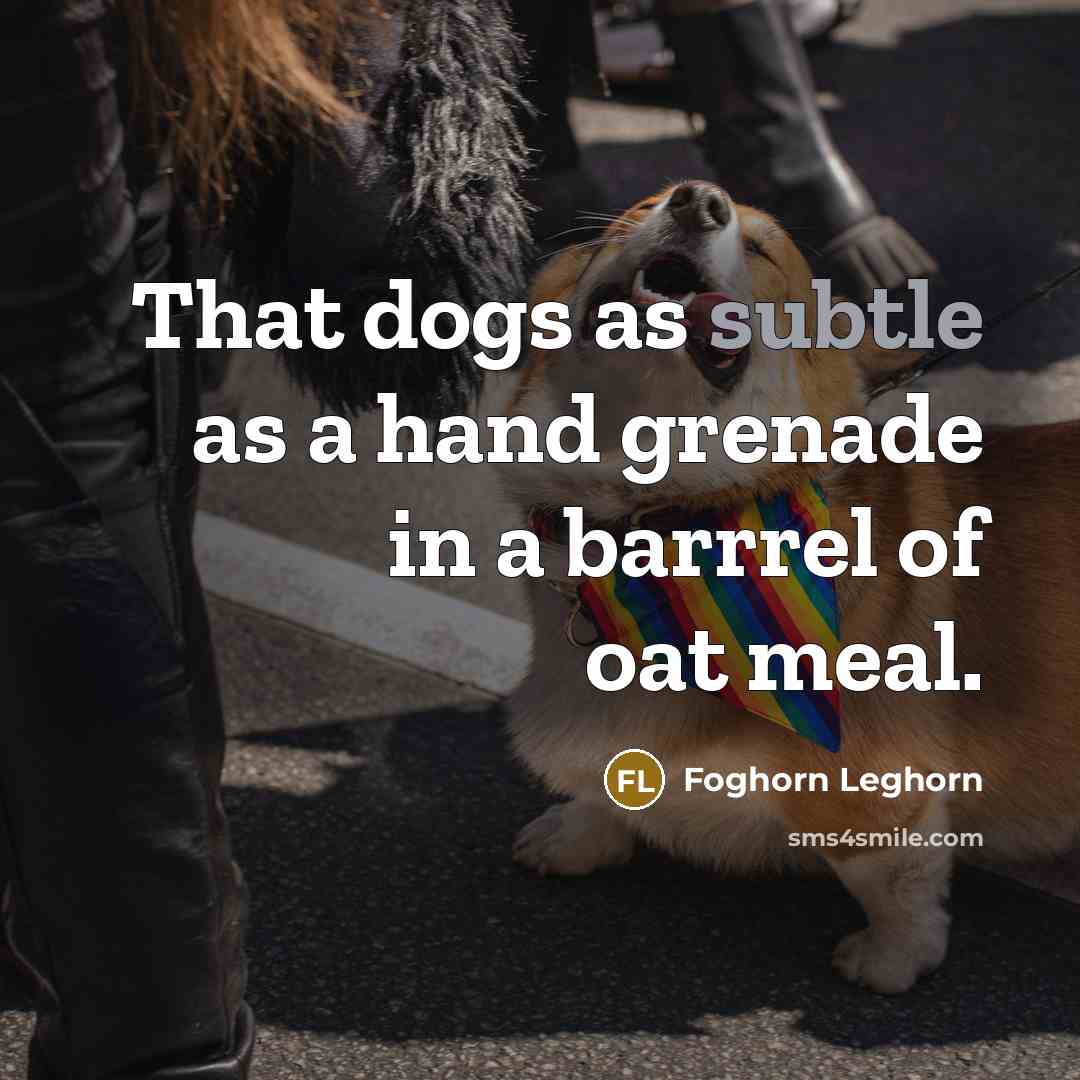 “That dogs as subtle as a hand grenade in a…” quote by Foghorn Leghorn