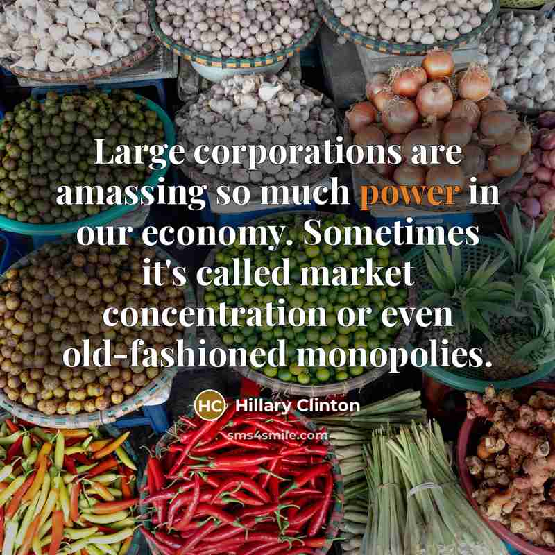 “Large corporations are amassing so much power in our economy.…” quote by Hillary Clinton