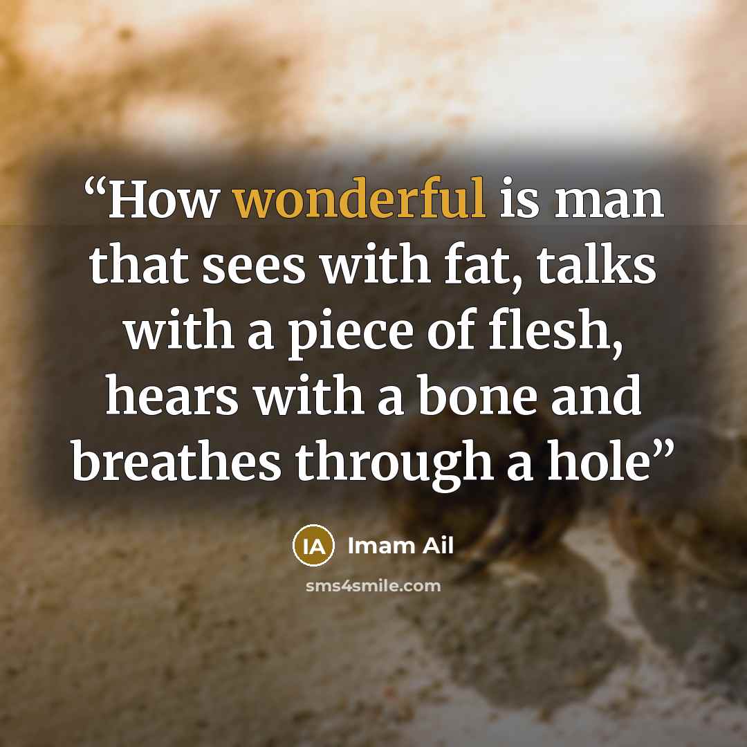 “How wonderful is man that sees with fat, talks with a piece of flesh, hears with a bone and breathes through a hole” quote by Imam Ail