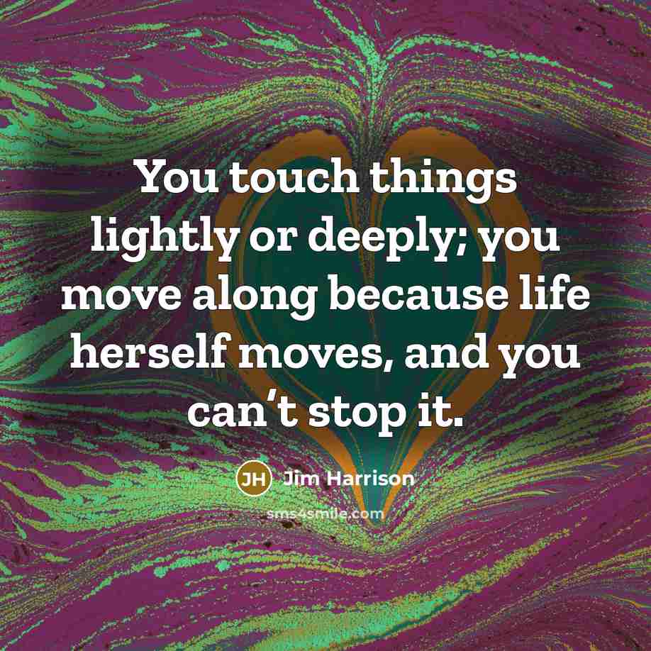 “You touch things lightly or deeply; you move along because…” quote by Jim Harrison