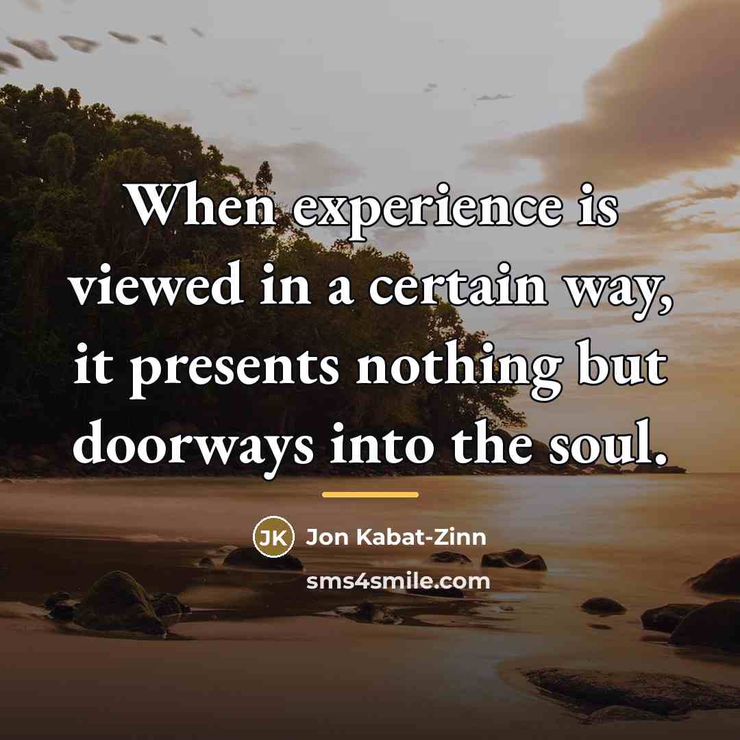 “When experience is viewed in a certain way, it presents…” quote by Jon Kabat-Zinn