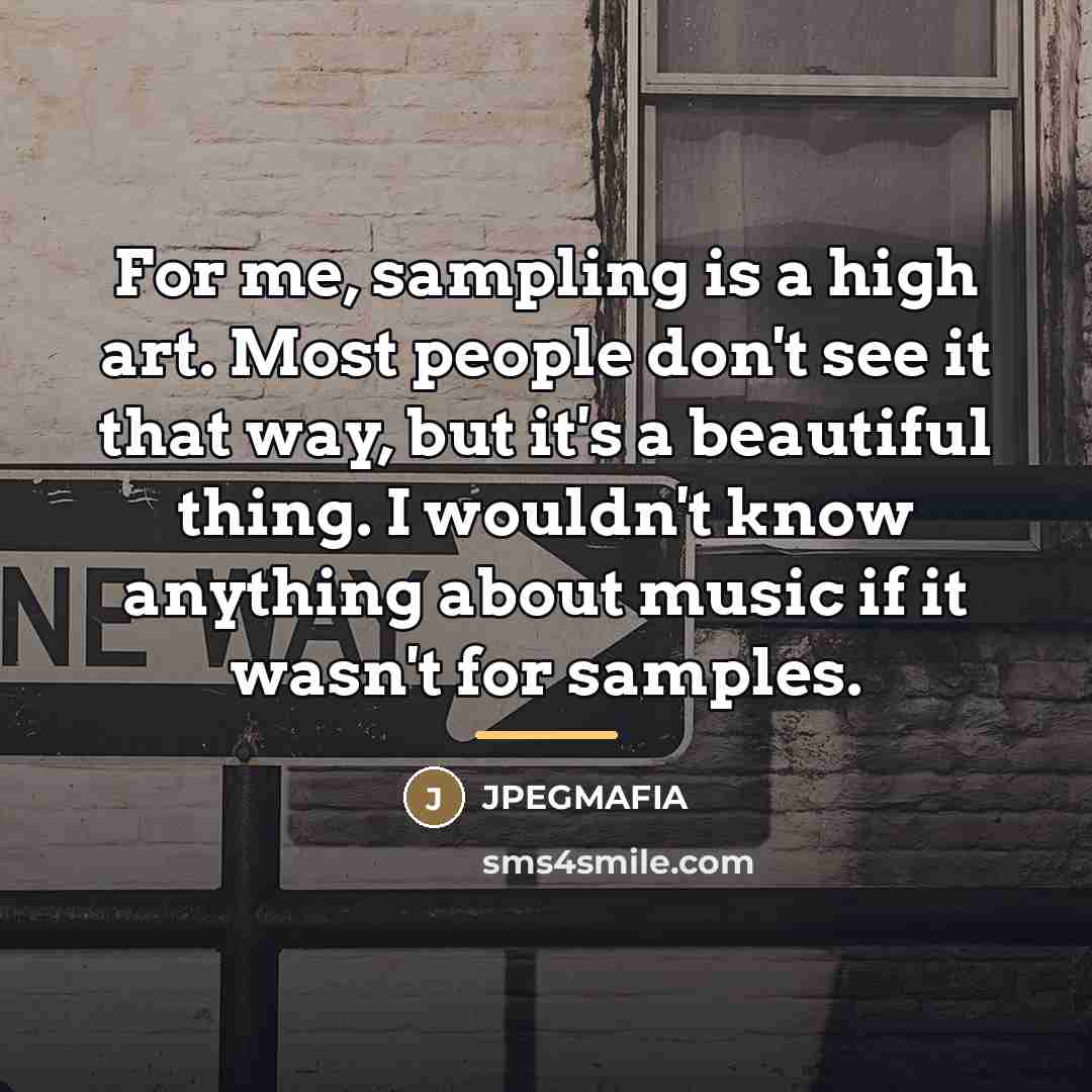 “For me, sampling is a high art. Most people don't…” quote by JPEGMAFIA
