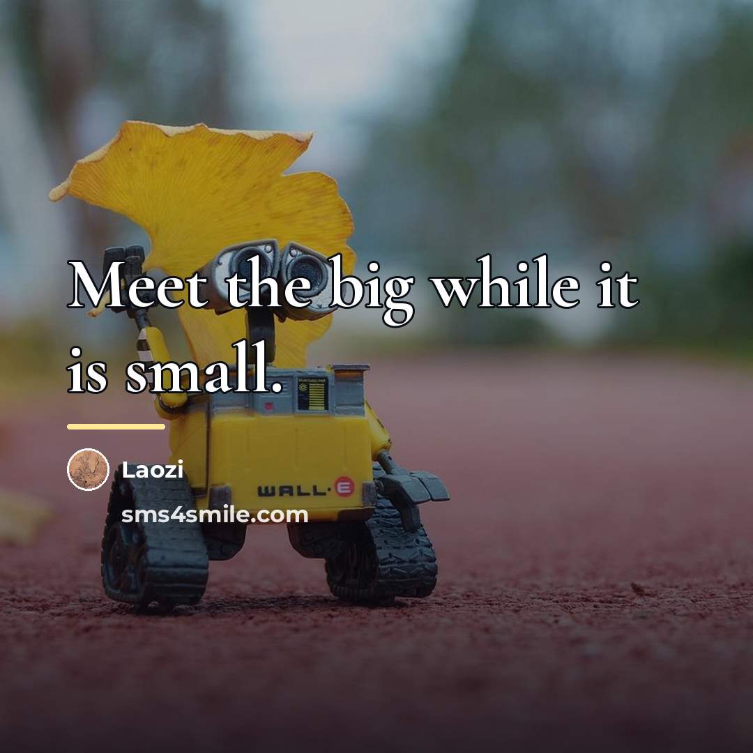“Meet the big while it is small.…” quote by Laozi