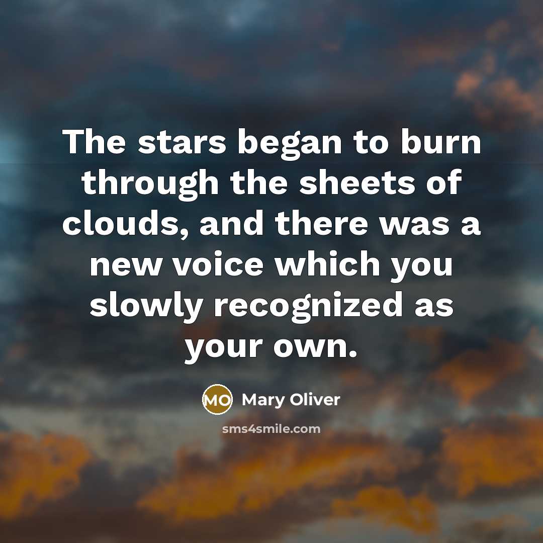 “The stars began to burn through the sheets of clouds,…” quote by Mary Oliver