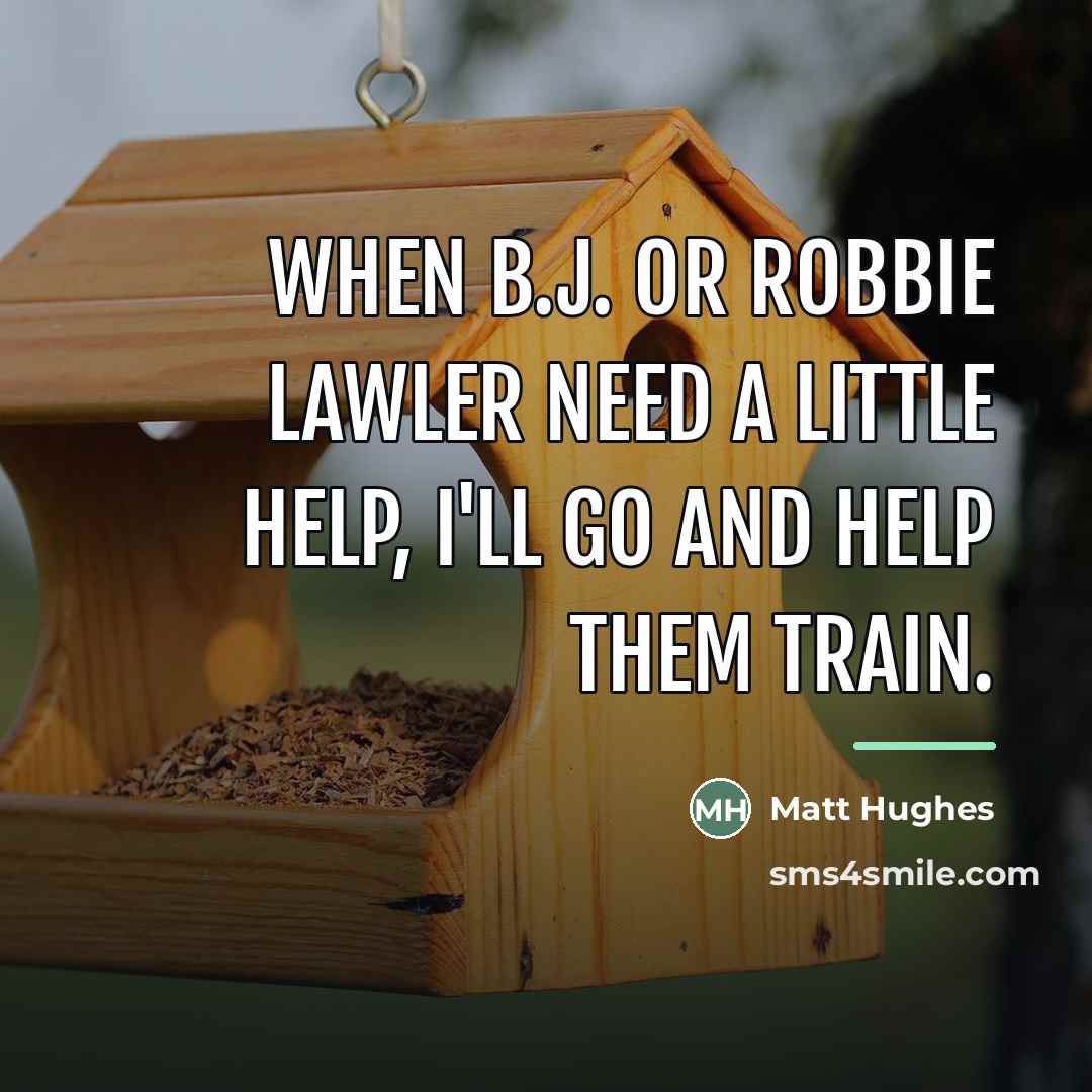 “When B.J. or Robbie Lawler need a little help, I'll…” quote by Matt Hughes