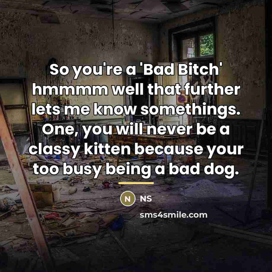 “So you're a 'Bad Bitch' hmmmm well that further lets…” quote by NS