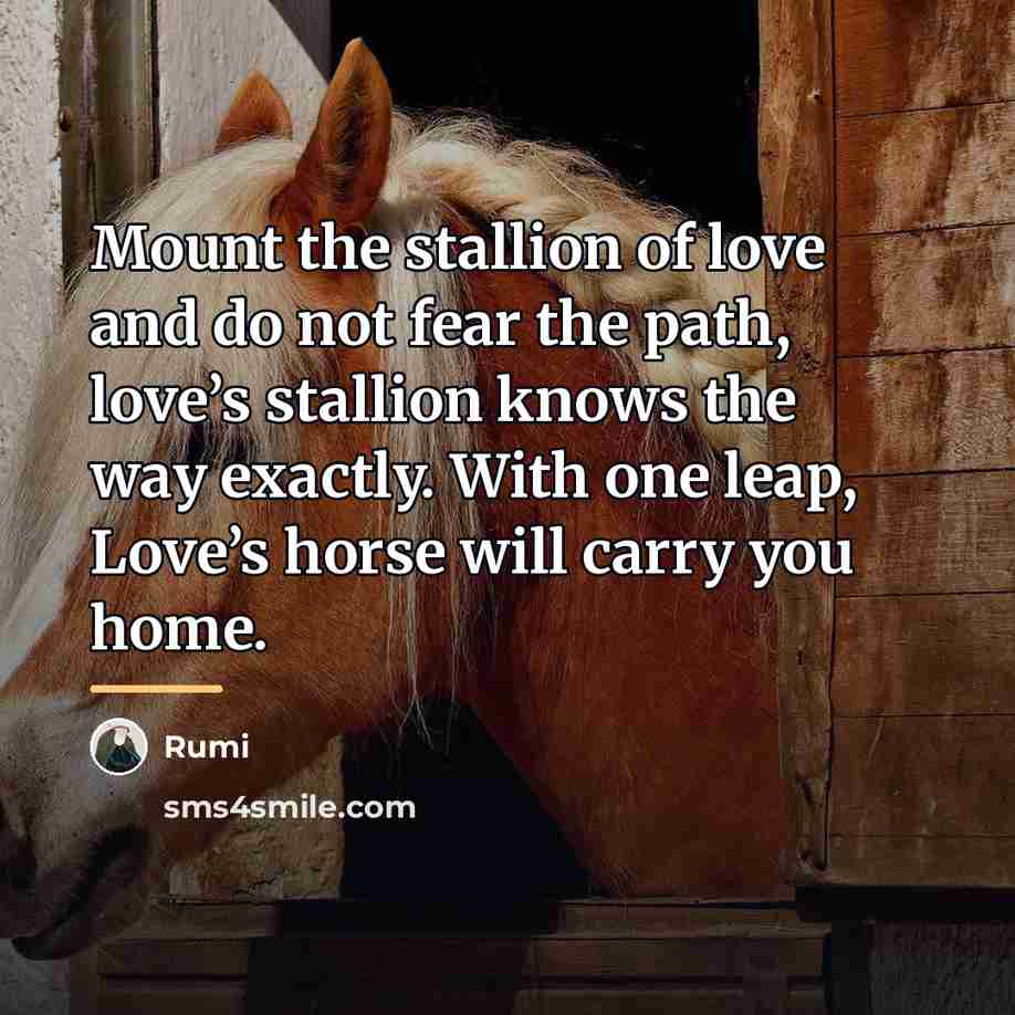 “Mount the stallion of love and do not fear the…” quote by Rumi