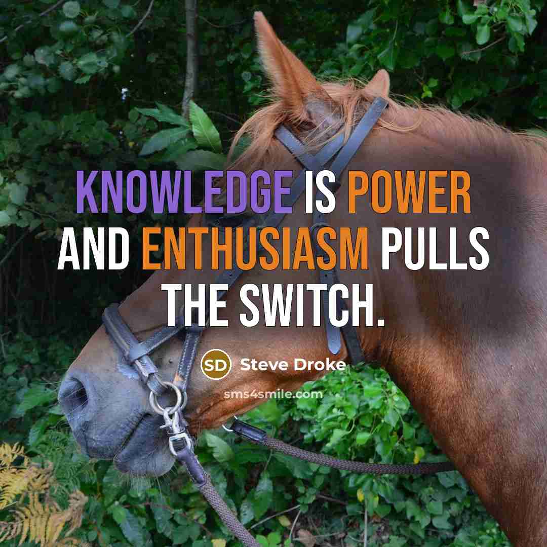 “Knowledge is power and enthusiasm pulls the switch.” quote by Steve Droke