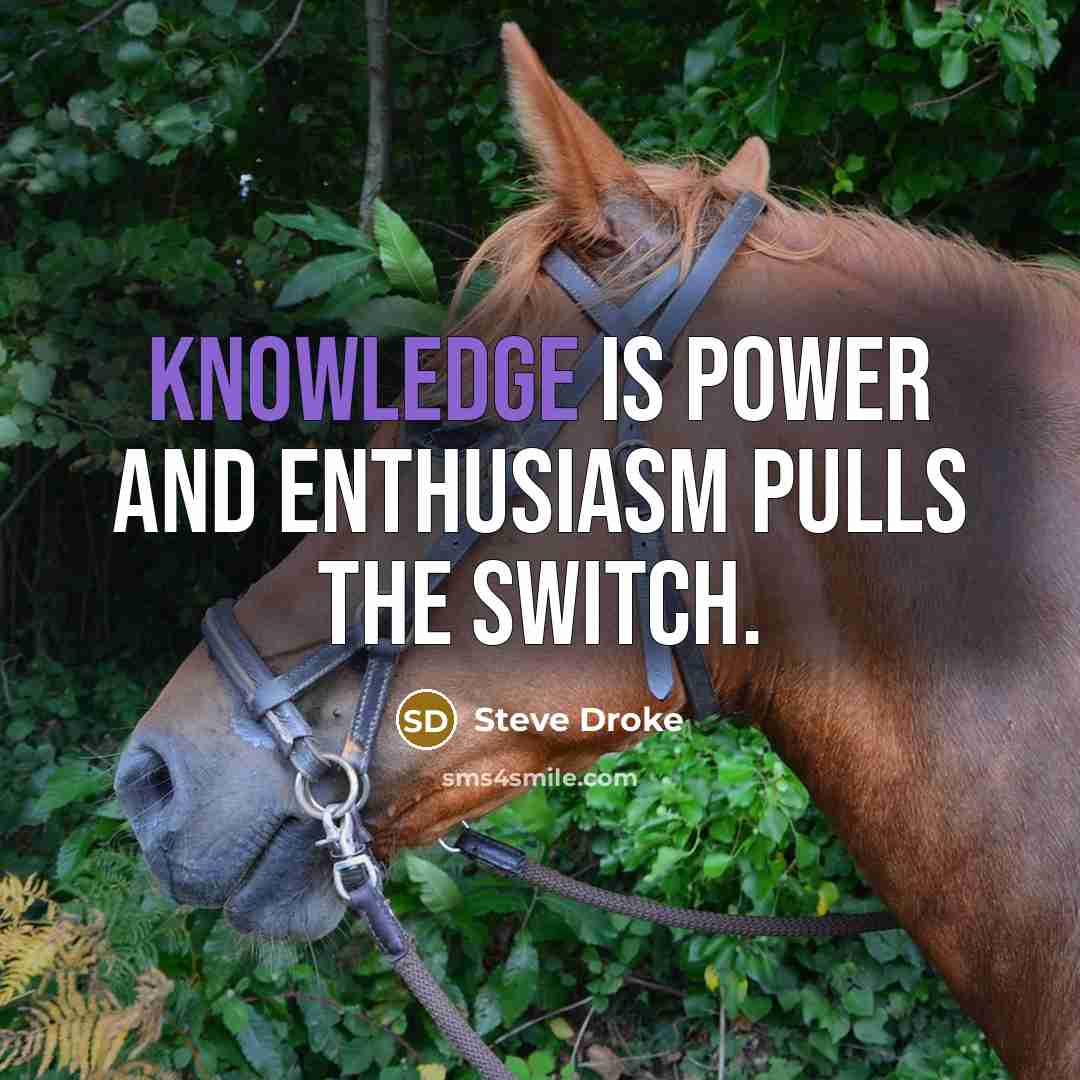 “Knowledge is power and enthusiasm pulls the switch.” quote by Steve Droke