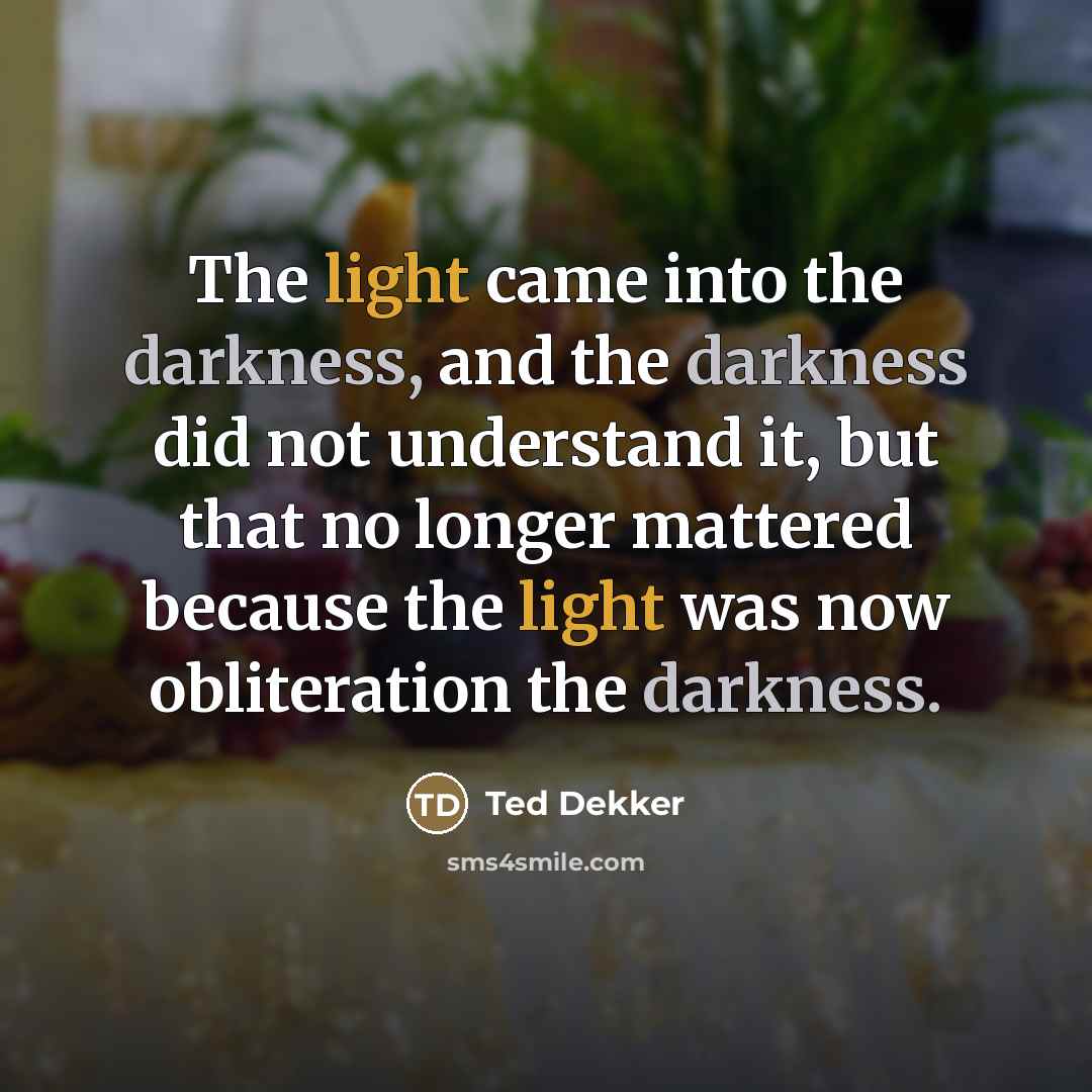 “The light came into the darkness, and the darkness did…” quote by Ted Dekker
