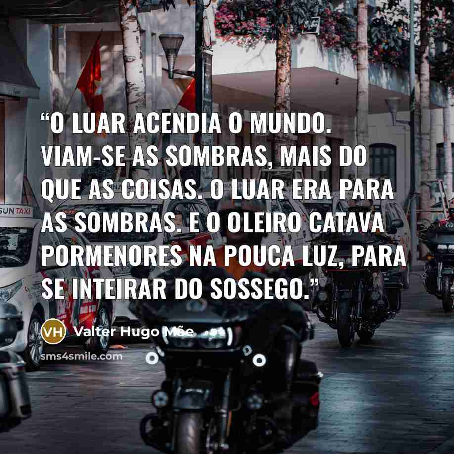 “O luar acendia o mundo. Viam-se as sombras, mais do que as coisas. O luar era para as sombras. E o oleiro catava pormenores na pouca luz, para se inteirar do sossego.” quote by Valter Hugo Mãe