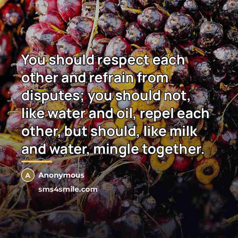 “You should respect each other and refrain from disputes; you…” quote by Anonymous