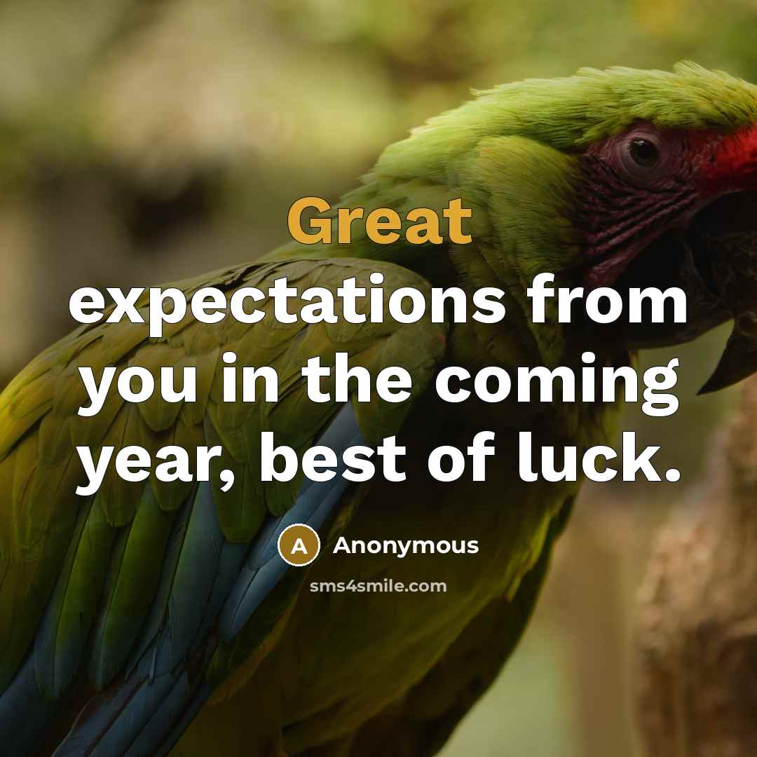 “Great expectations from you in the coming year, best of luck.” quote by Anonymous
