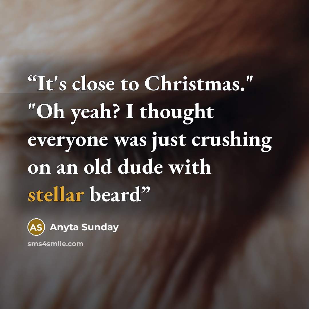 “It's close to Christmas." "Oh yeah? I thought everyone was just crushing on an old dude with stellar beard” quote by Anyta Sunday