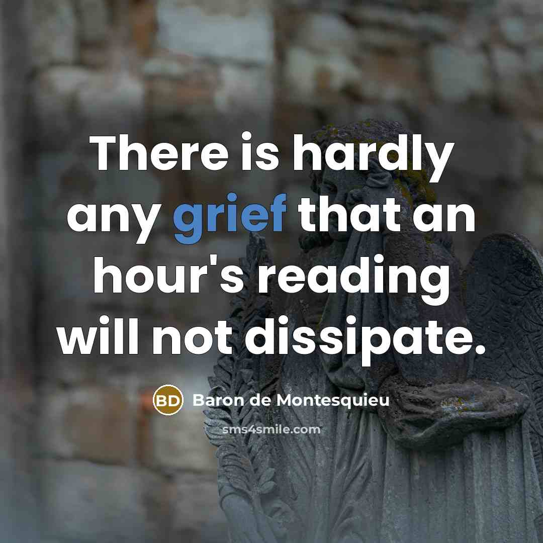 “There is hardly any grief that an hour's reading will…” quote by Baron de Montesquieu