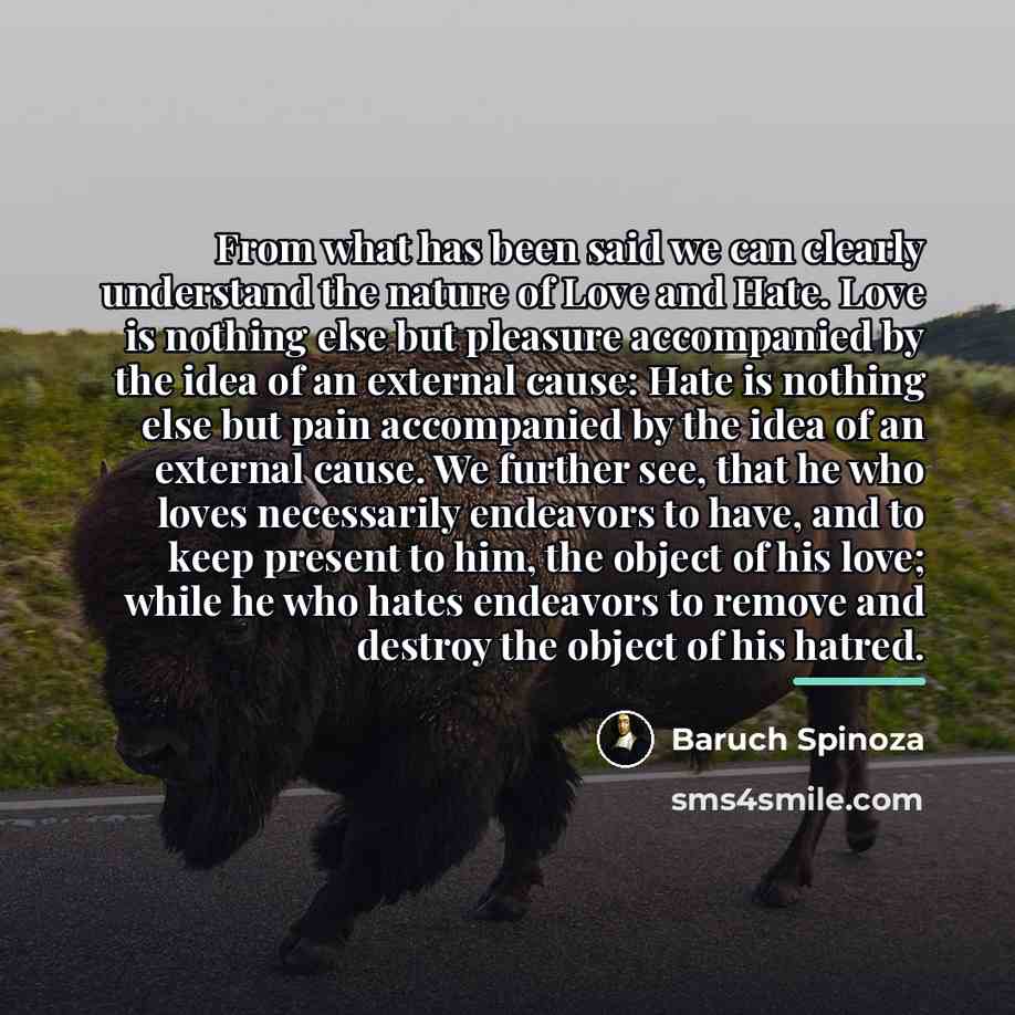 “From what has been said we can clearly understand the…” quote by Baruch Spinoza
