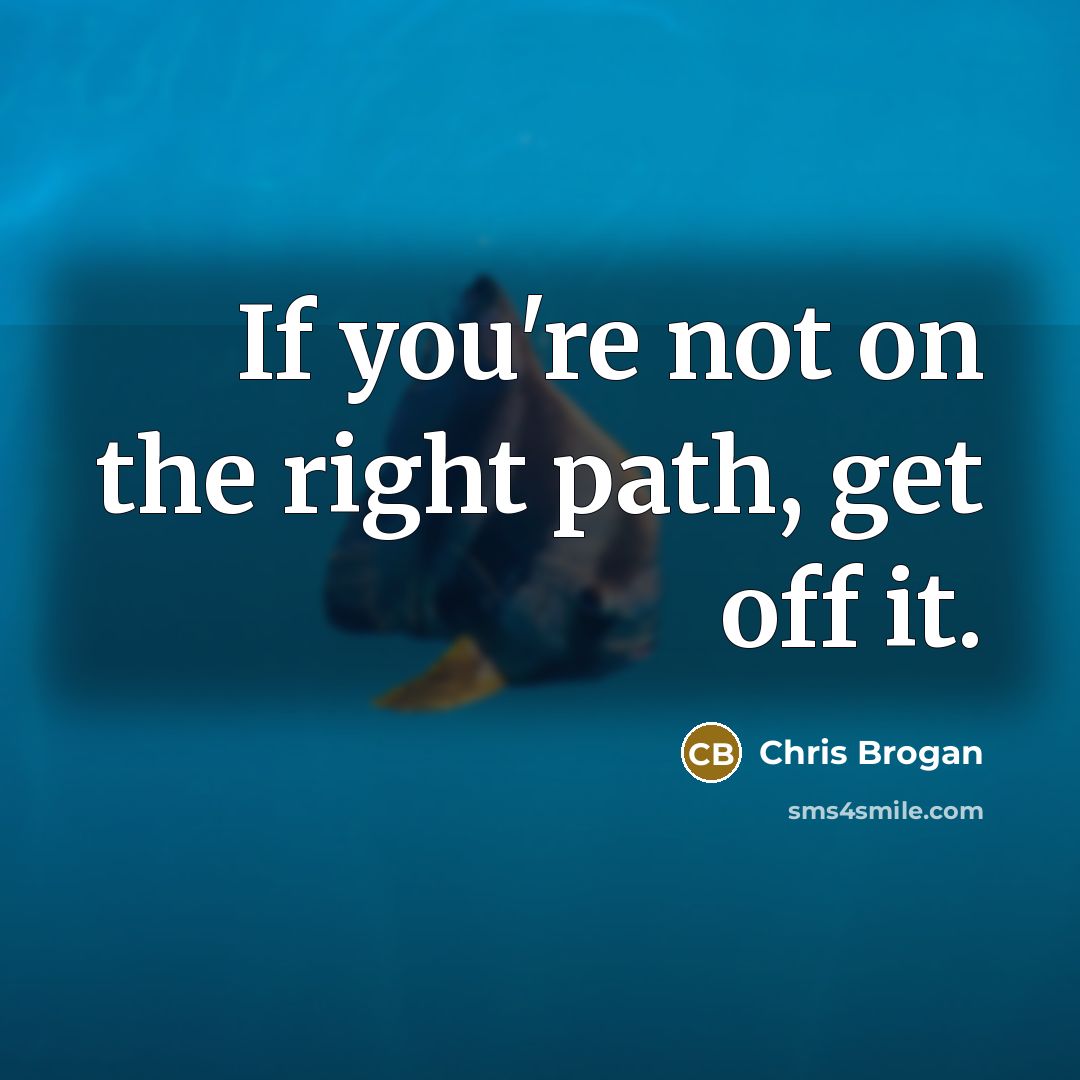 “If you're not on the right path, get off it.…” quote by Chris Brogan
