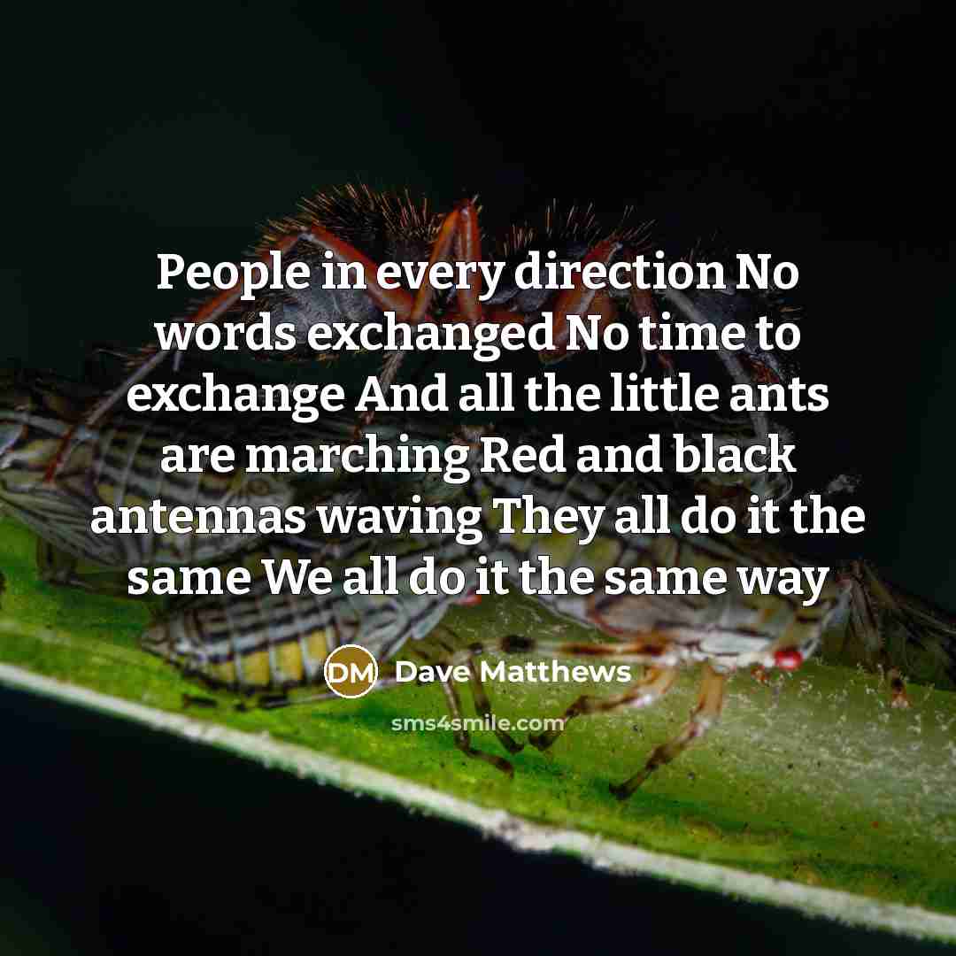 “People in every direction No words exchanged No time to…” quote by Dave Matthews