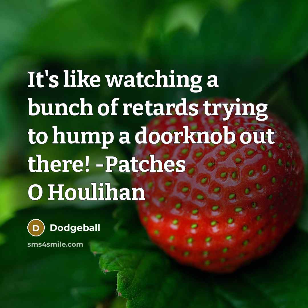 “It's like watching a bunch of retards trying to hump a doorknob out there! -Patches O Houlihan” quote by Dodgeball