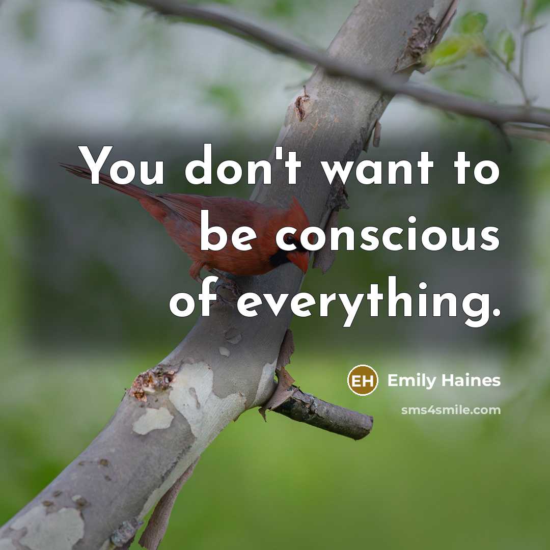 “You don't want to be conscious of everything.…” quote by Emily Haines