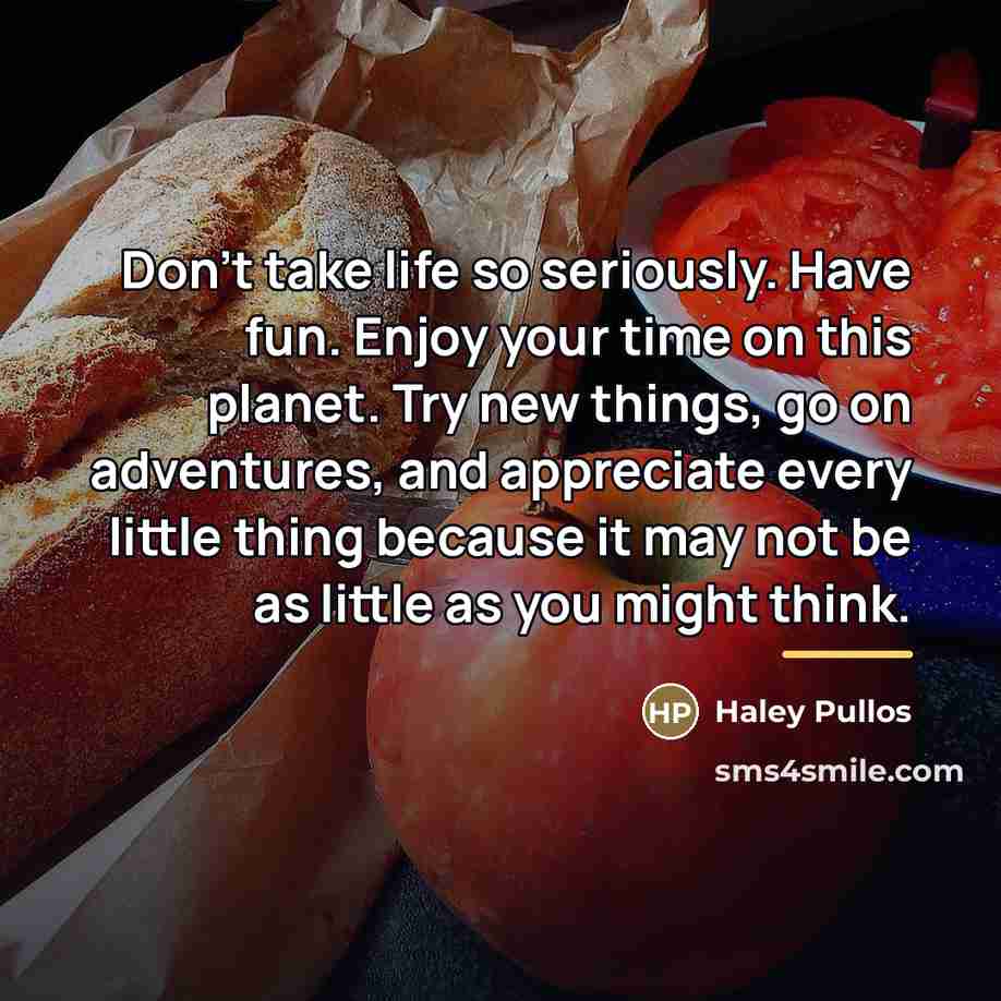 “Don't take life so seriously. Have fun. Enjoy your time…” quote by Haley Pullos