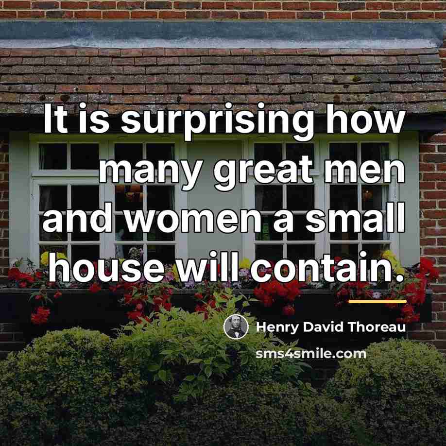 “It is surprising how many great men and women a…” quote by Henry David Thoreau