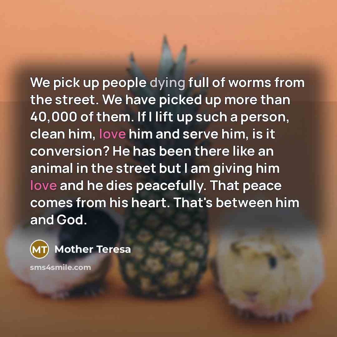 “We pick up people dying full of worms from the…” quote by Mother Teresa