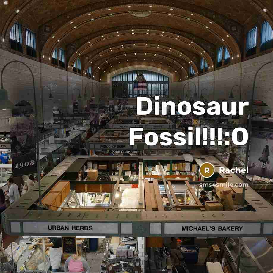 “Dinosaur Fossil!!!:O” quote by Rachel