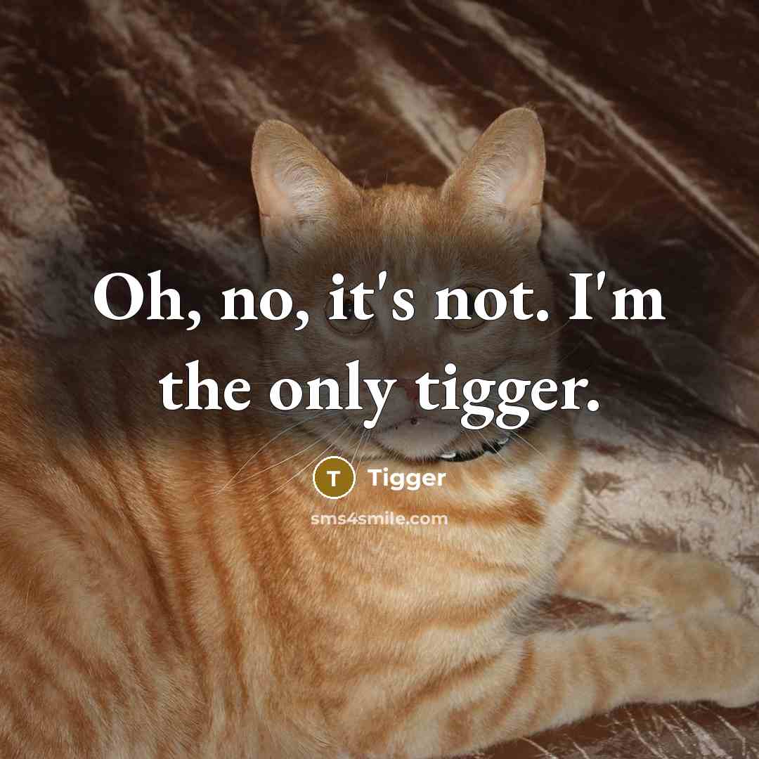 “Oh, no, it's not. I'm the only tigger.” quote by Tigger