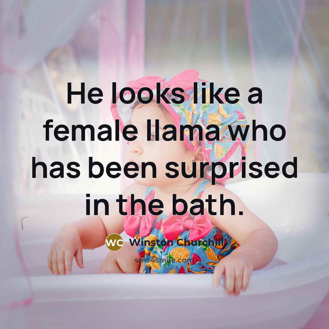 “He looks like a female llama who has been surprised…” quote by Winston Churchill
