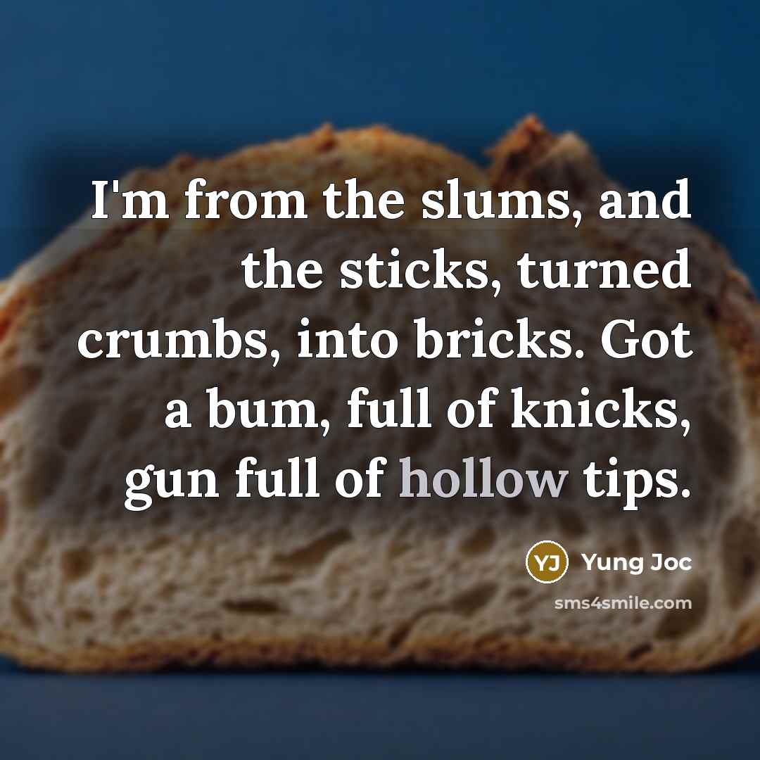 “I'm from the slums, and the sticks, turned crumbs, into bricks. Got a bum, full of knicks, gun full of hollow tips.” quote by Yung Joc