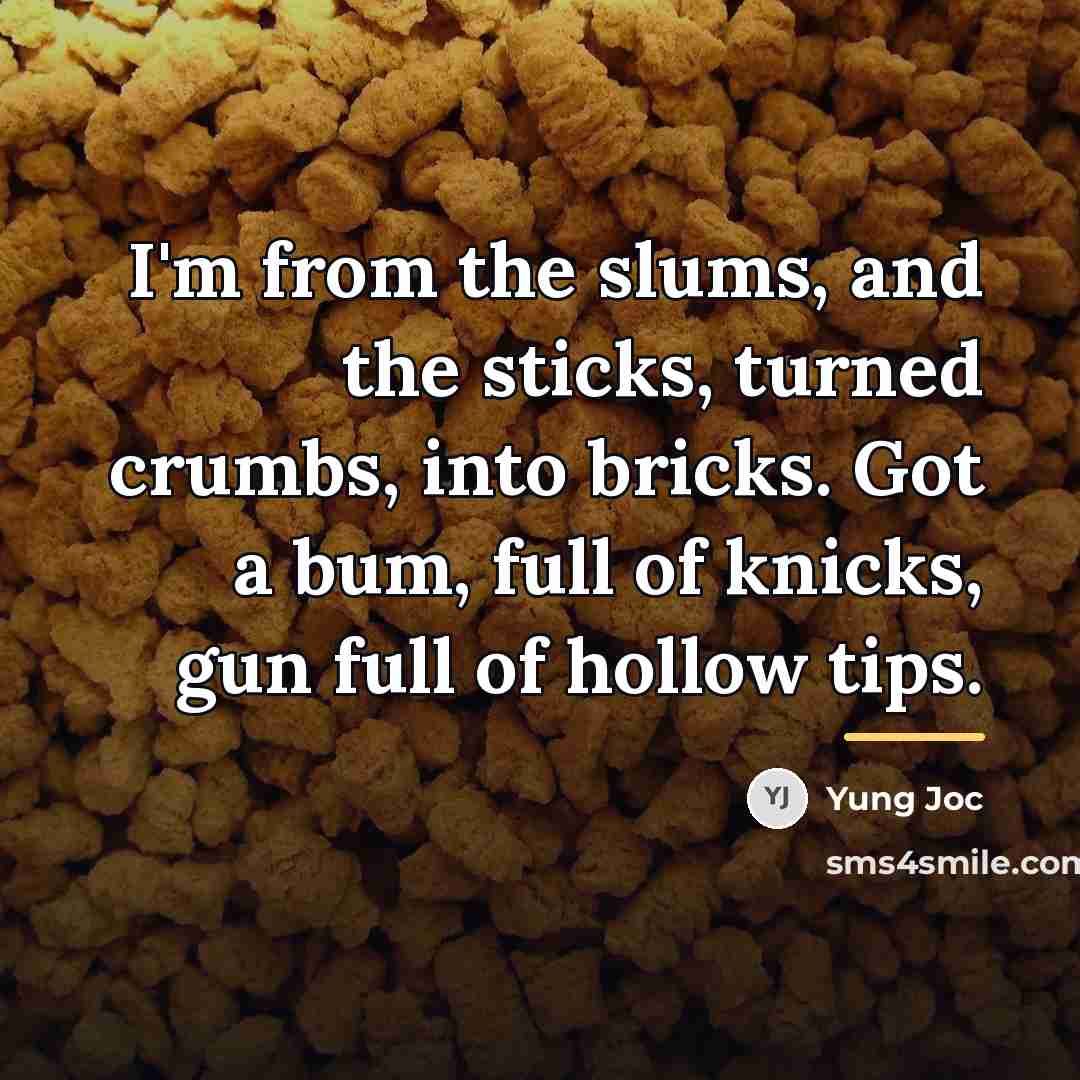 “I'm from the slums, and the sticks, turned crumbs, into…” quote by Yung Joc