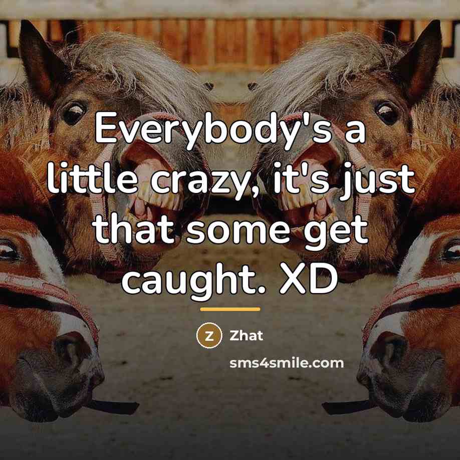 “Everybody's a little crazy, it's just that some get caught.…” quote by Zhat