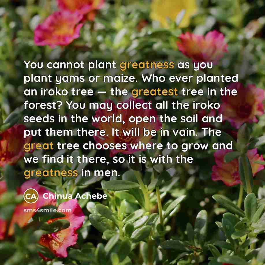 “You cannot plant greatness as you plant yams or maize. Who ever planted an iroko tree — the greatest tree in the forest? You may collect all the iroko seeds in the world, open the soil and put them there. It will be in vain. The great tree chooses where to grow and we find it there, so it is with…” quote by Chinua Achebe