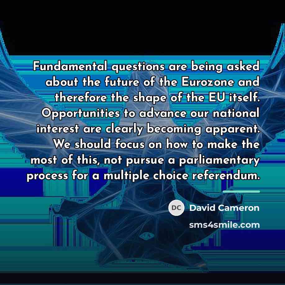 “Fundamental questions are being asked about the future of the…” quote by David Cameron